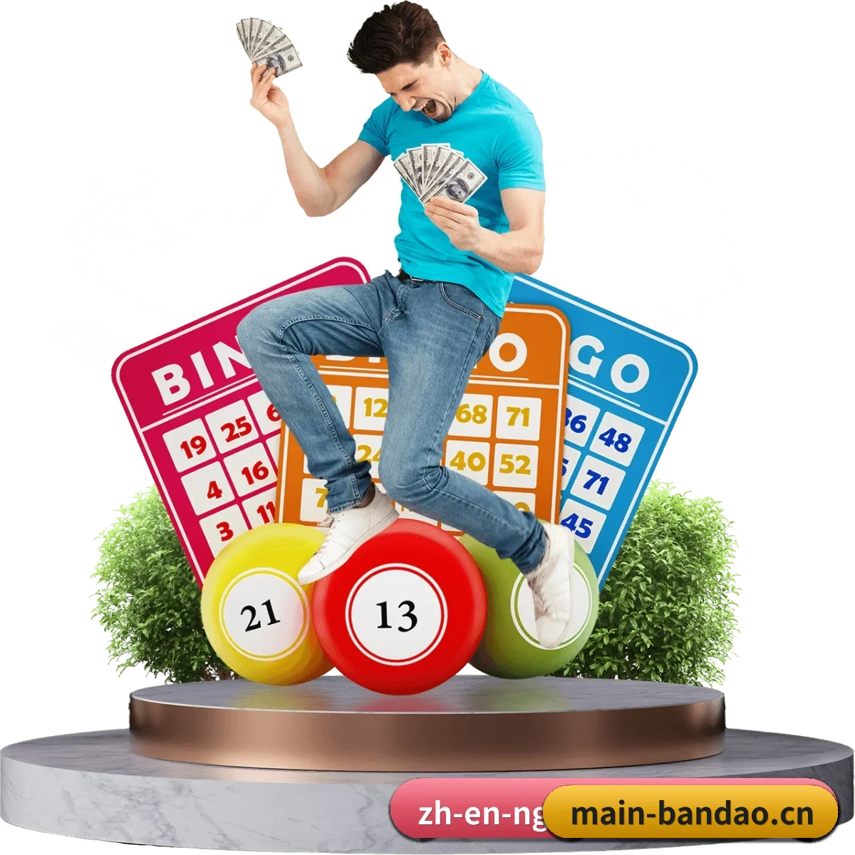 半岛体育 APP 界面(BANDAO SPORTS)
